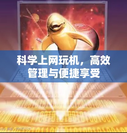 科学上网玩机,高效管理与便捷享受