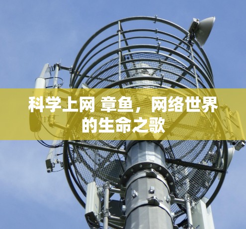 科学上网 章鱼,网络世界的生命之歌