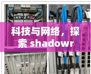 科技与网络,探索 shadowrocks 科学上网的未来