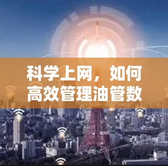科学上网,如何高效管理油管数据