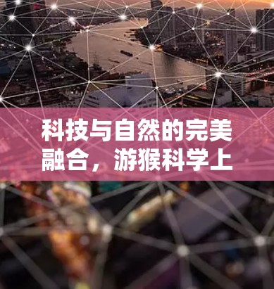 科技与自然的完美融合,游猴科学上网