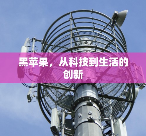 黑苹果,从科技到生活的创新