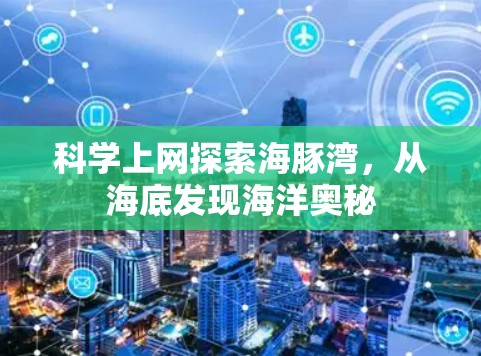 科学上网探索海豚湾,从海底发现海洋奥秘