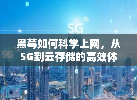 黑莓如何科学上网,从5G到云存储的高效体验 黑莓如何科学上网,从5G到云存储的高效体验