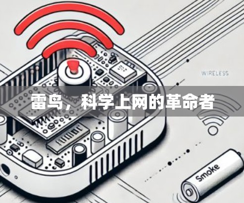 雷鸟,科学上网的革命者 雷鸟,科学上网的革命者
