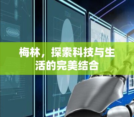 梅林，探索科技与生活的完美结合