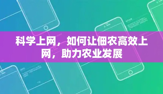 科学上网,如何让佃农高效上网,助力农业发展 科学上网,如何让佃农高效上网,助力农业发展