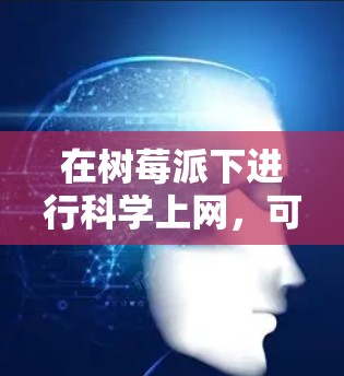 在树莓派下进行科学上网,可以从以下几个方面进行配置和考虑 在树莓派下进行科学上网,可以从以下几个方面进行配置和考虑