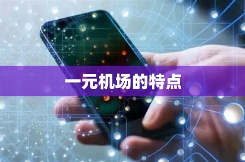 一元机场的特点