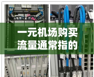 一元机场购买流量通常指的是通过一个统一的入口或平台来管理机场的流量，以优化用户体验和提高运营效率。以下是一些常见的方法和步骤