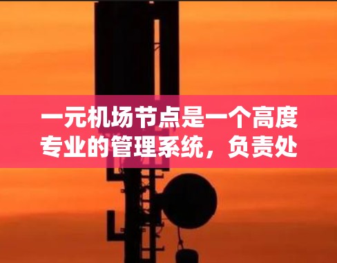 一元机场节点是一个高度专业的管理系统，负责处理旅客的登机、行李分发、航班安排等核心工作。以下是具体步骤和关键点