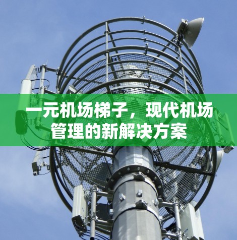 一元机场梯子，现代机场管理的新解决方案
