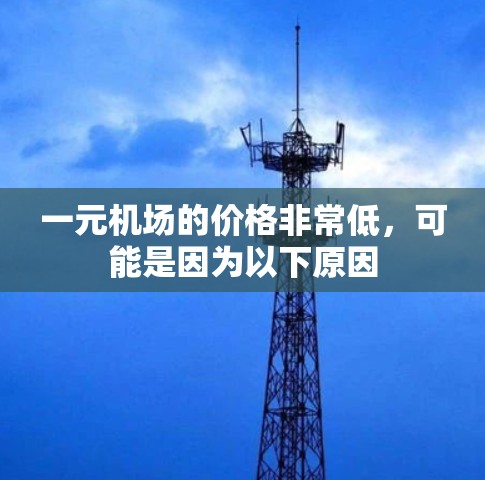 一元机场的价格非常低,可能是因为以下原因 一元机场的价格非常低,可能是因为以下原因