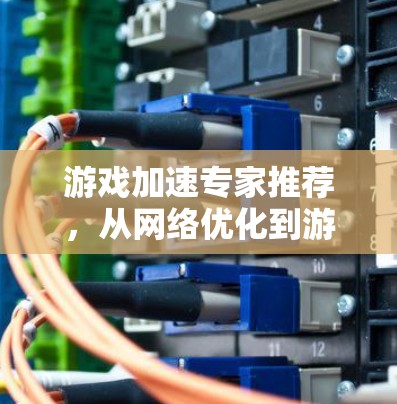 游戏加速专家推荐，从网络优化到游戏体验提升的必备工具