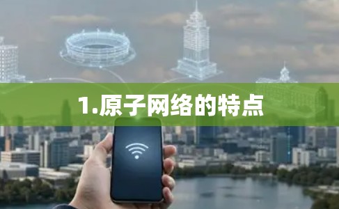 1.原子网络的特点 1.原子网络的特点