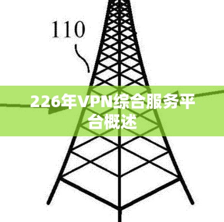 226年VPN综合服务平台概述