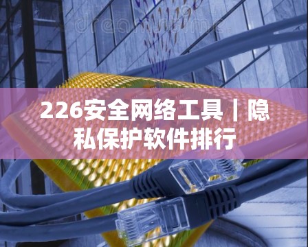 226安全网络工具|隐私保护软件排行