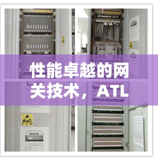 性能卓越的网关技术，ATLlas VPN翻墙软件的高效通信解决方案