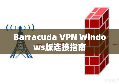 Barracuda VPN Windows版连接指南